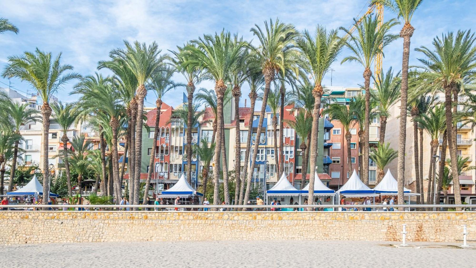 Acintur Apartment Levante Beach-Old Town Benidorm Eksteriør bilde